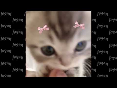 Видео: feduk - море любви (speed up)