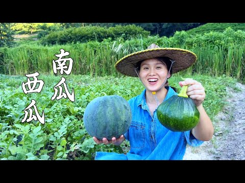 Видео: Арбуз, тыква и еда для всей семьи, и вкус у нее как у лета!