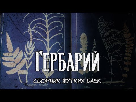 Видео: Гербарий | Сборник страшных историй (баек)