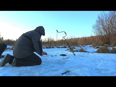 Видео: ХАРИУС СО ЛЬДА НА РЕЧКЕ ХАРЮЗОВКЕ!!! РЫБАЛКА ПРОСТО СКАЗКА!!!