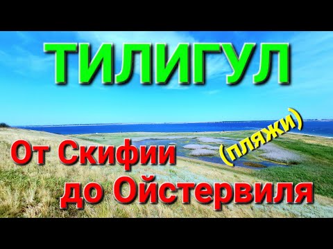Видео: Тилигульский лиман. Отдых. Устрицы Скифии. Ойстервиль. Тилигул дикие пляжи. Тілігул. Скіфія #зоотроп