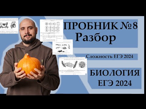 Видео: Пробник №8. Freedom bio. САМЫЙ БЛИЗКИЙ К ЕГЭ 2024 |ЕГЭ БИОЛОГИЯ|Freedom|