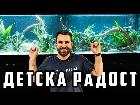 Видео: ДЕЦАТА НЯМА ДА ПОВЯРВАТ | ПАЗАРДЖИК | ДЕН 2