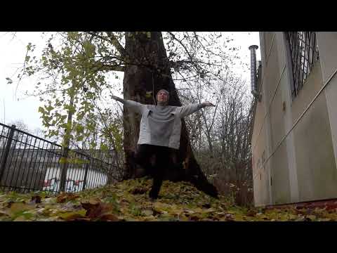 Видео: 08.11.2025.  Древо Жизни.