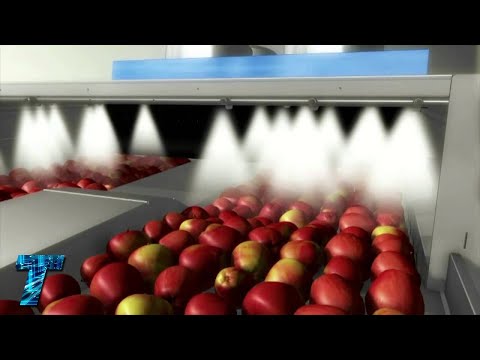 Видео: ТЕХНОЛОГИЯ ХРАНЕНИЕ ЯБЛОК