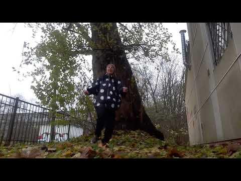 Видео: 05.11.2025.  Женская Мантра - Шакти.