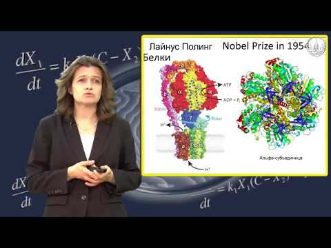 Видео: Попцова М.С. Расшифровка генетического кода часть 1