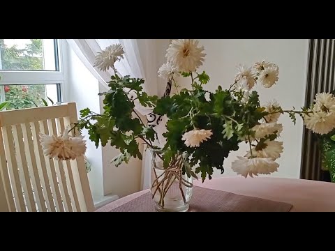 Видео: Дела делаются если их делать. Садово-Домашний влог.