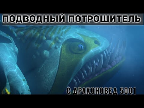 Видео: ПОДВОДНЫЙ ПОТРОШИТЕЛЬ ИЛИ СУДНОГЛОТ??? Вместе с Драконовед 5001