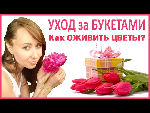 Видео: УХОД ЗА ЦВЕТАМИ