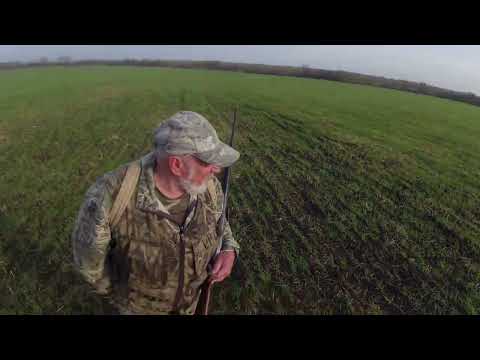 Видео: Охота на зайца № 98  удачно по старым  местам