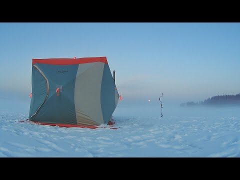 Видео: 1 выезд с Палаткой 2023. Зимняя рыбалка с Ночёвкой.