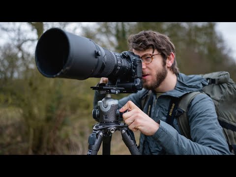 Видео: Мои штативы для фотосъемки дикой природы: Gitzo Systematic, Ball head, Fluid Gimbal и Traveller