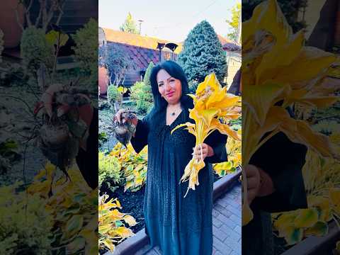 Видео: ОСЕНЬ ВО ДВОРЕ У АРУСИ КАВКАЗ! ОСЕННИЙ УРОЖАЙ. #арусякавказ #осень2025 #осень #осеннийурожай