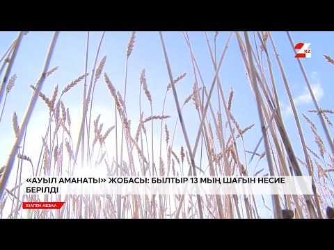 Видео: «Ауыл аманаты» жобасы: былтыр 13 мың шағын несие берілді | Білген абзал