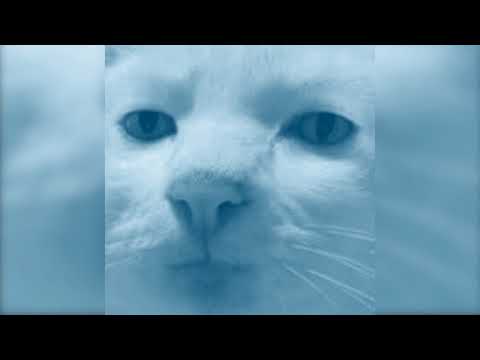 Видео: СПБ - Нормально