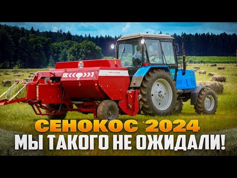 Видео: 🔴 СЕНОКОС 2024 | МАЙСКИЕ МОРОЗЫ ДАЛИ О СЕБЕ ЗНАТЬ?