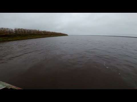 Видео: Рыбалка на реке Енисей. Ловля неводом ряпушку.