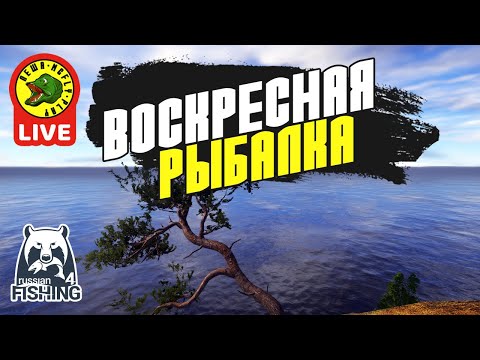 Видео: Воскресная рыбалка - РР4 (Стрим - Русская рыбалка 4)