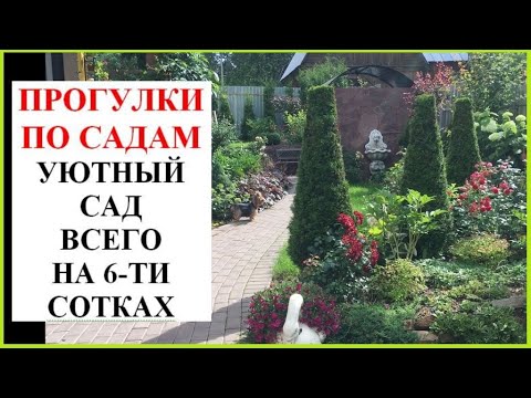 Видео: Сад мечты на 6 ти сотках