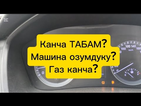 Видео: ‼️Бишкек ТАКСИ, ФАКТ менен канча Тапса болот?РАСХОД канча?#бишкектакси #Яндекстакси #яндексбишкек 