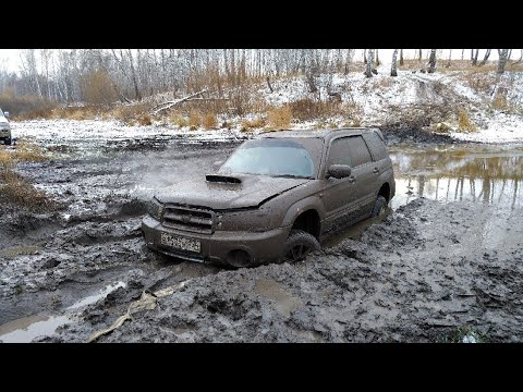 Видео: Жёсткое испытание subaru forester. Offroad на любимом болоте.