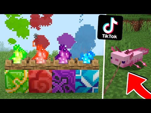 Видео: ЛАЙФХАКИ ИЗ САМОГО ВИРУСНОГО ТИКТОКА МАЙНКРАФТ, ЭТО РАБОТАЕТ!