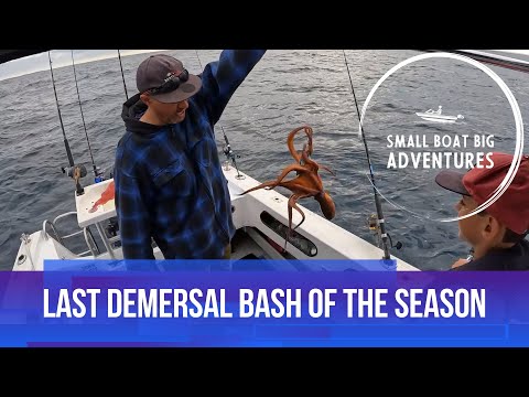 Видео: Поймали ОСЬМИНОГА на удочку и принесли еще одну отличную рыбу ду в карман перед закрытием сезона.