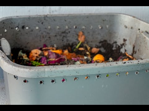 Видео: 07 Компостный червь в квартире. Корм готов. Будем кормить!