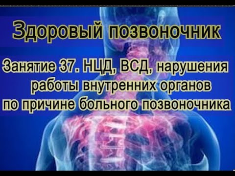 Видео: Занятие 37.  ВСД, НЦД, нарушения работы внутренних органов по причине больного позвоночника.