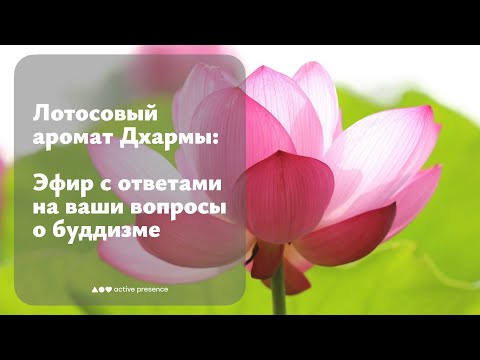 Видео: Лотосовый аромат Дхармы. Эфир с ответами на ваши вопросы о буддизме