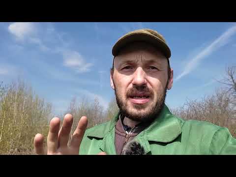 Видео: Люблю пахать в "Дубраве"!!!