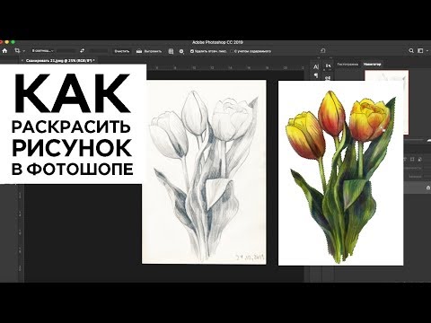 Видео: Как раскрасить карандашный рисунок в фотошопе, быстрый способ, картинка для шаттерстока