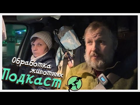 Видео: Как правильно заниматься обработкой покалеченных животных?