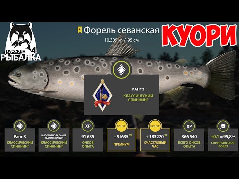 Видео: СУПЕР ТОЧКА С ТРОФЕЙНОЙ ФОРЕЛЬЮ НА КУОРИ В РУССКОЙ РЫБАЛКЕ 4 РР4