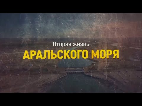 Видео: Вторая жизнь Аральского моря | Документальный фильм