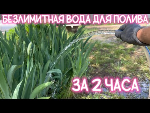 Видео: ЗА 2 ЧАСА РЕШИЛИ ПРОБЛЕМУ С ПОЛИВОМ НА УЧАСТКЕ. ЗВОНИТЕ