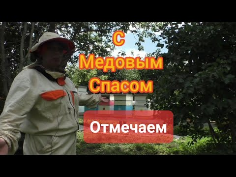 Видео: Медовый Спас на #пасеке