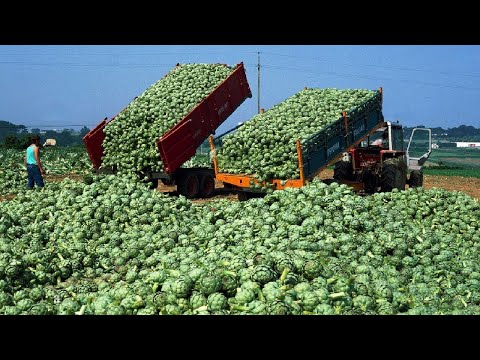 Видео: Передовые сельхозтехнологии Китая