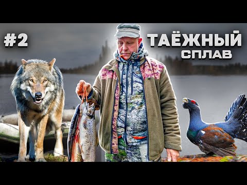 Видео: Таёжный Сплав. Охота, Рыбалка, Хариус, Кумжа. Ночёвка у костра.