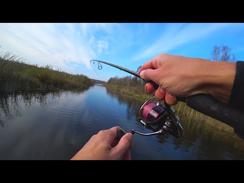 Видео: Не был тут 20 лет. Рыбалка на торфяных каналах и разливах. Ловля щуки с лодки на воблеры
