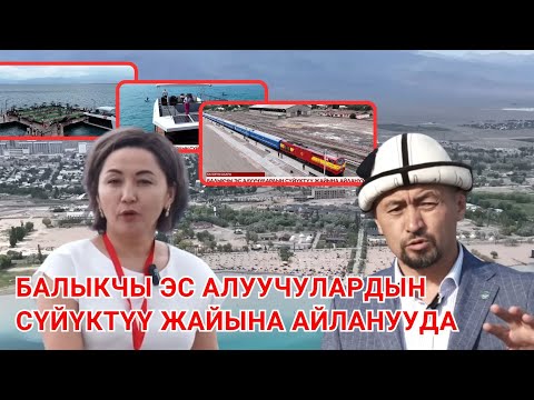 Видео: Балыкчы эс алуучулардын сүйүктүү жайына айланууда