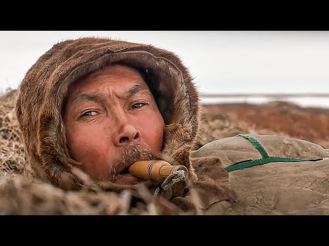 Видео: ВЕСНА. ОХОТА. ТУНДРА | С полем!