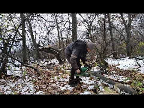 Видео: За валежником!
