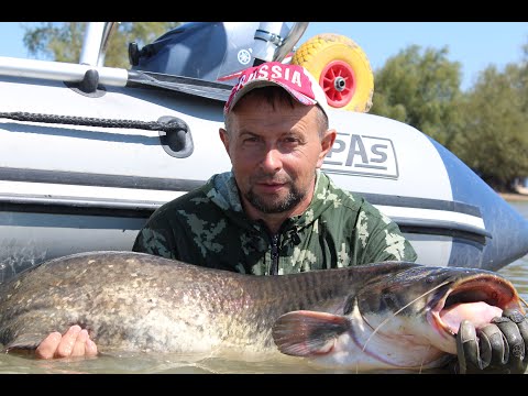 Видео: Квок , Цимла август 2019