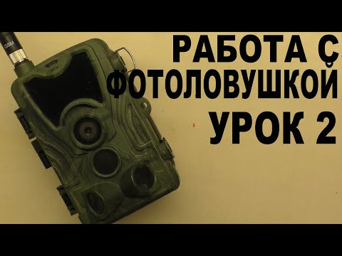 Видео: Работа с фотоловушкой  УРОК 2