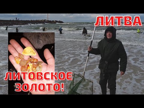 Видео: Melnragė. Ловим янтарь в шторм на молу. Литва