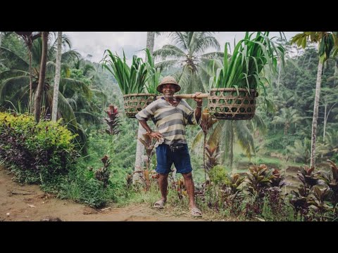 Видео: См. Как деревенская жизнь в Африке? Я был гостем семьи.