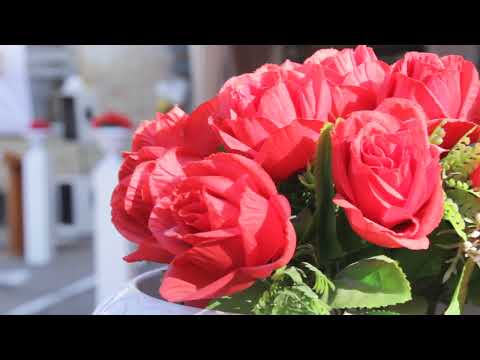 Видео: 25 - МАЙ 2024 г. | сш.№24 Оморбек датка