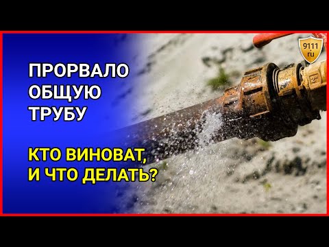 Видео: Прорвало общую трубу в квартире. Кто виноват в протечке, и что делать - консультация юриста